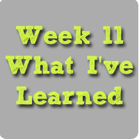 week11