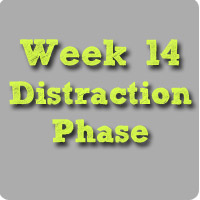 week14