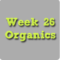 week26