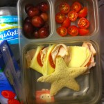 Ziploc Bento