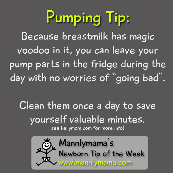 Because breastmilk has magic voodoo in it, you can leave your pump parts in the fridge during the day with no worries of “going bad”.   Clean them once a day to save yourself valuable minutes. 