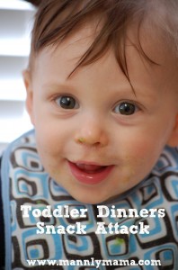 Toddler Dinners Snack Attack