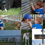 Memorial Day – Toddler style