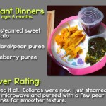 infant dinners