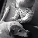 Jack Jack and His Baby